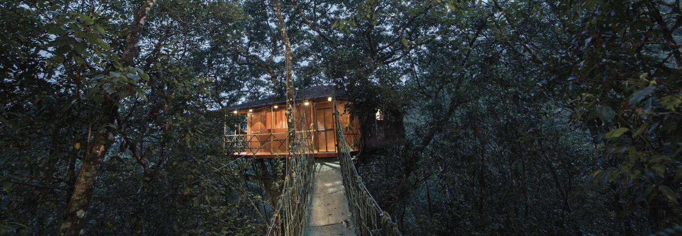 best treehouse Resorts in Wayanad