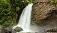 vythiri resort - Soojipara Waterfalls - wayanad