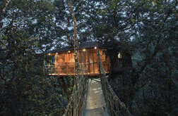 Best honeymoon treehouse resorts kerala