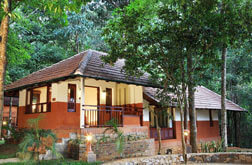 vythiri haven Jacuzzi villa resort in Kerala